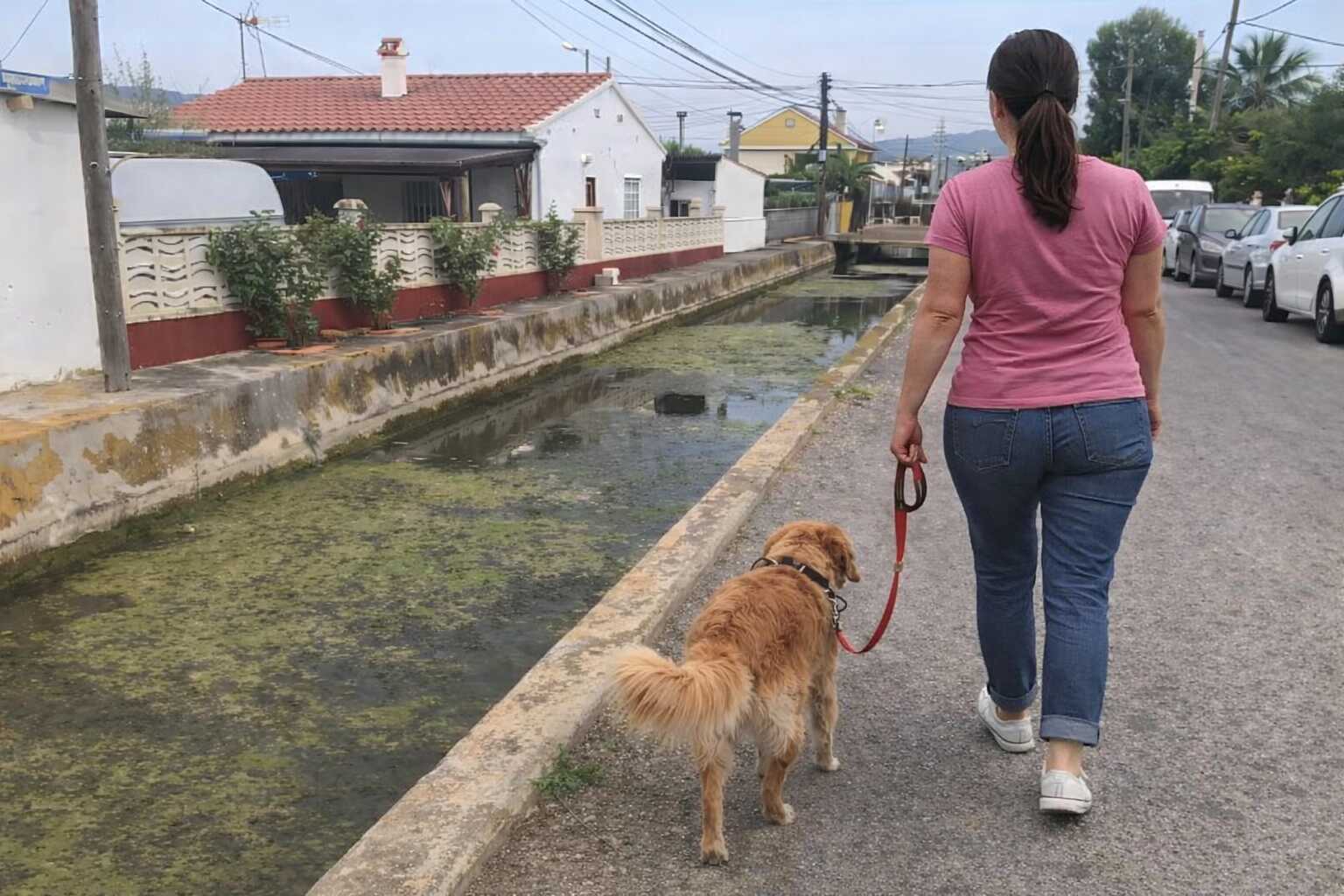 Antenista en La Marjalería de Castellón
